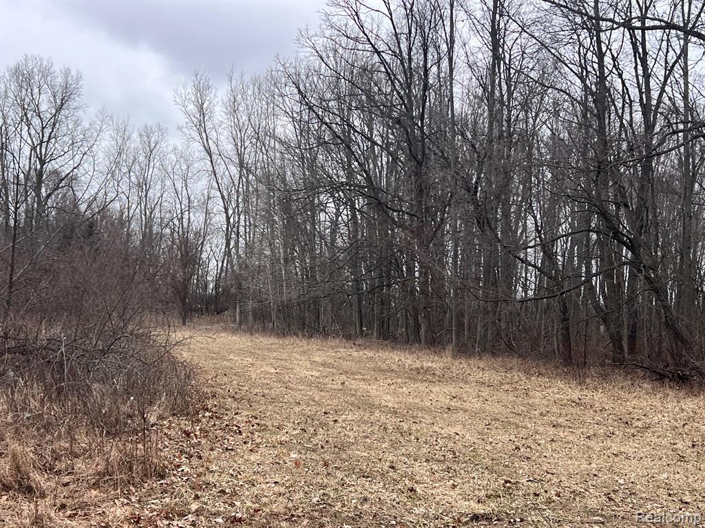 VL Washington Street, Perry, MI 48872 — Photo 20