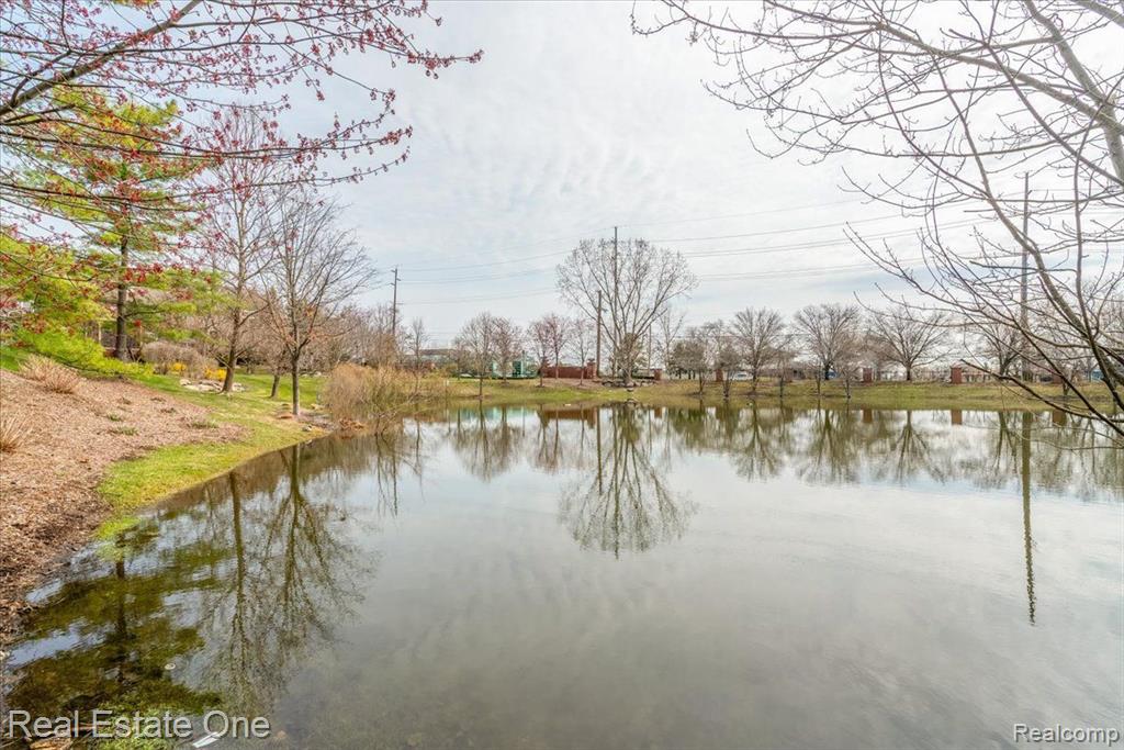 39492 ROCKCREST Lane, Northville, MI 48168 — Photo 8