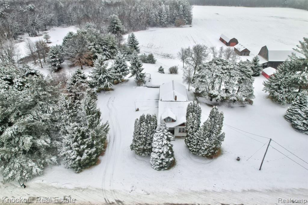 7165 Junction Road, Bridgeport, MI 48722 — Photo 3
