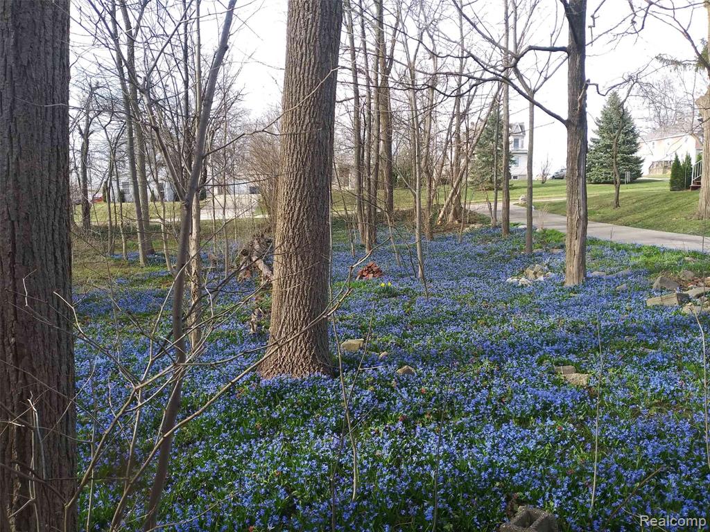 329 Reid Road, Grand Blanc, MI 48439 — Photo 7