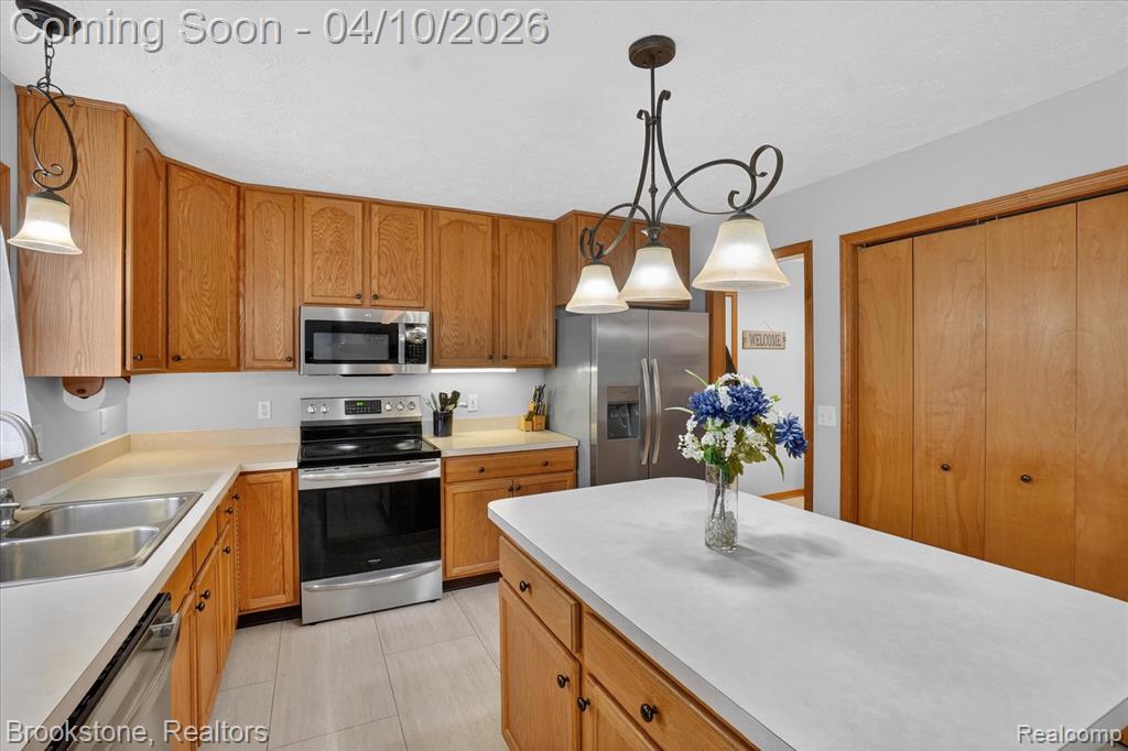 12359 Mission Hills Drive, Dewitt, MI 48820 — Photo 17