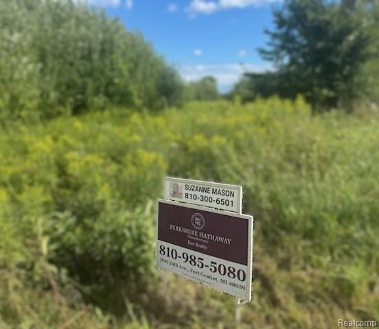 0001 Duquette Road, Peck, MI 48466 — Photo 3