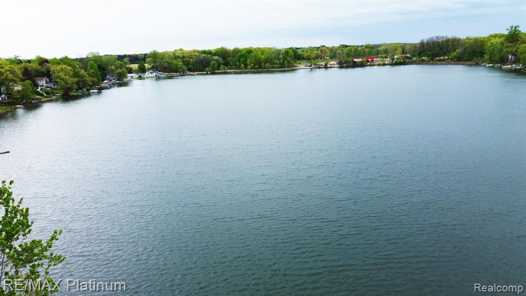 6512 BUCKSHORE Drive, Whitmore Lake, MI 48189 — Photo 55