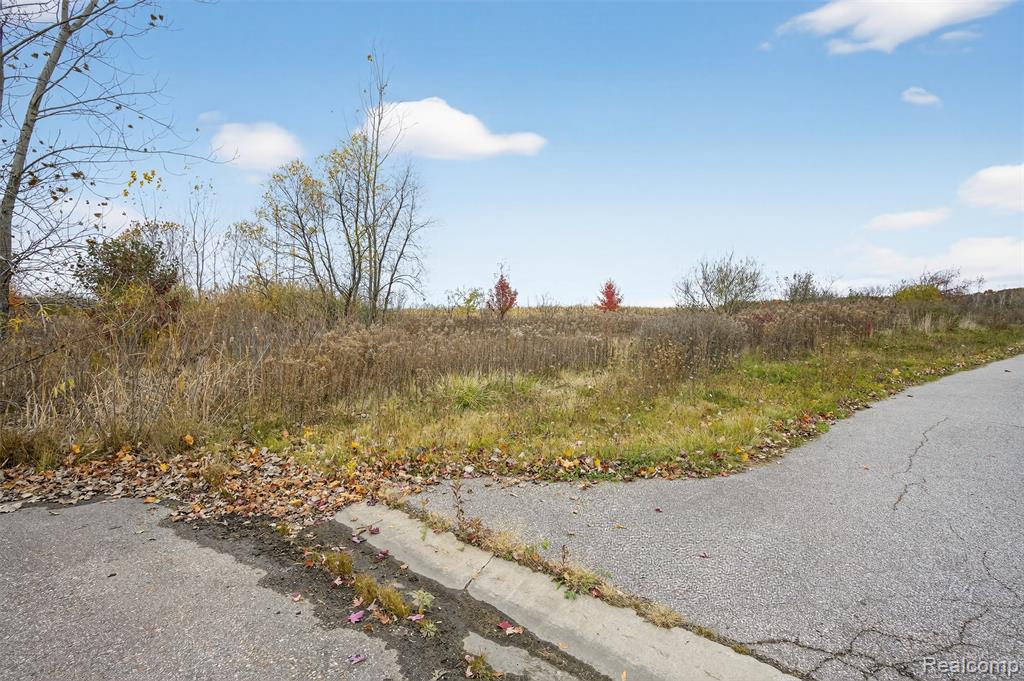 6434 Bristol Road, Swartz Creek, MI 48473 — Photo 19