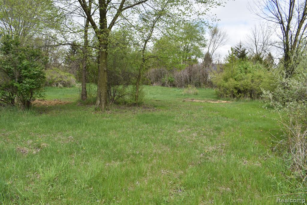 VL Grand River Avenue, Fowlerville, MI 48836 — Photo 8