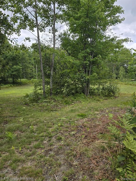 6961 PINEVIEW Drive, Mancelona, MI 49659 — Photo 25