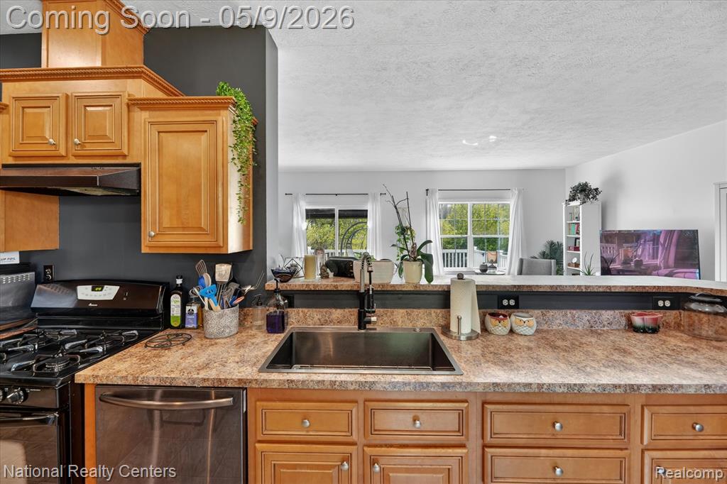 56536 Briar Meadow Road, South Lyon, MI 48178 — Photo 11