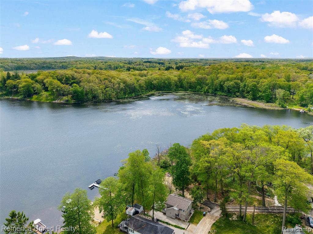 4375 Irene Drive, Howell, MI 48843 — Photo 12