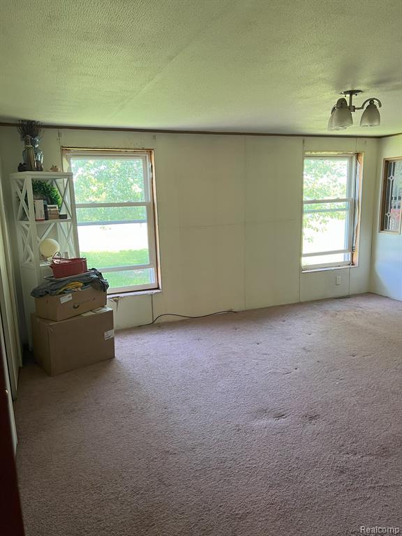 12075 PEET Road, Chesaning, MI 48616 — Photo 5