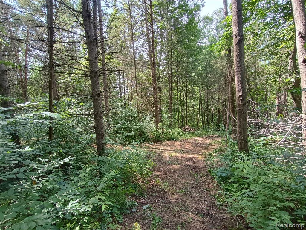 1793 Swaffer Road, MI — Photo 30
