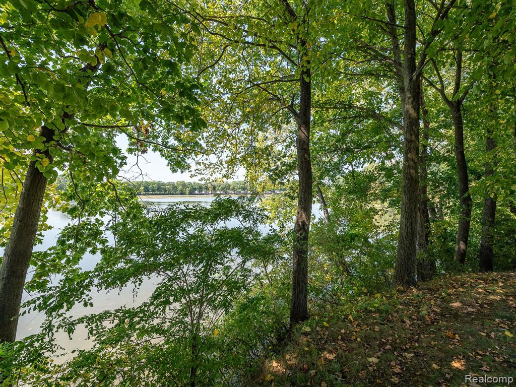 915 RED MILL Drive, Tecumseh, MI 49286 — Photo 51