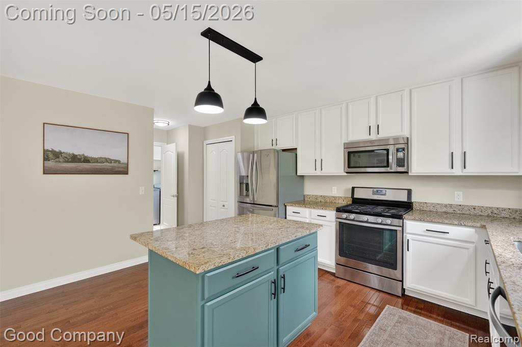 28622 Oakmonte Circle W, New Hudson, MI 48165 — Photo 9