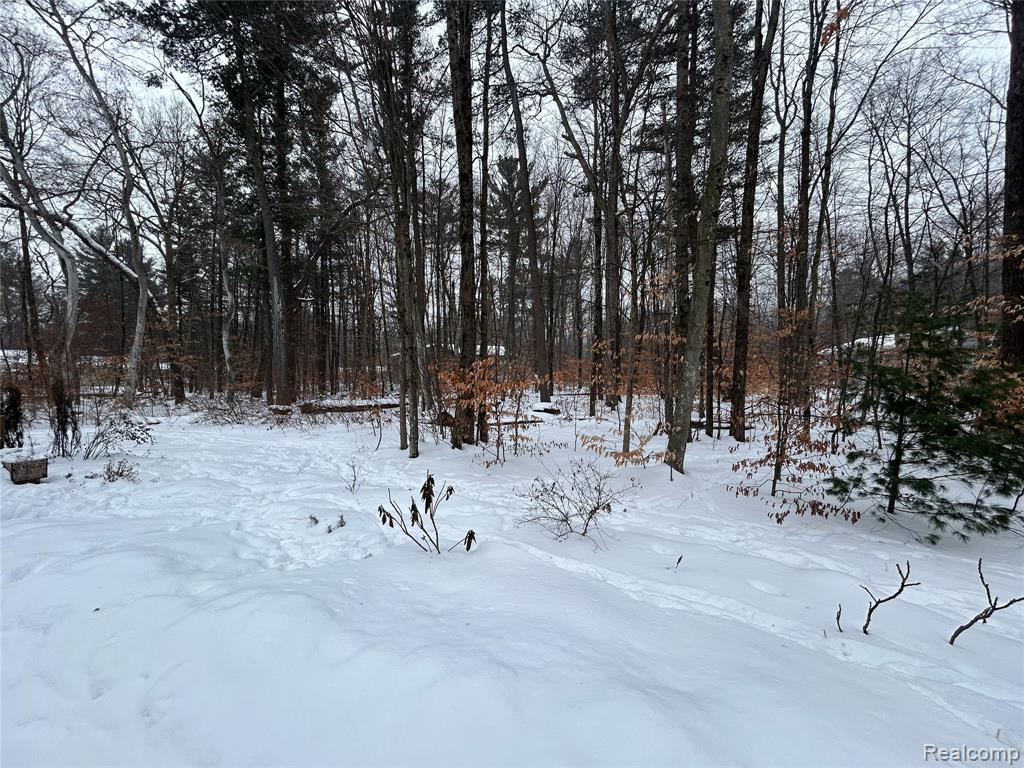 9642 Hummingbird Ct, Howard City, MI 49329 — Photo 31