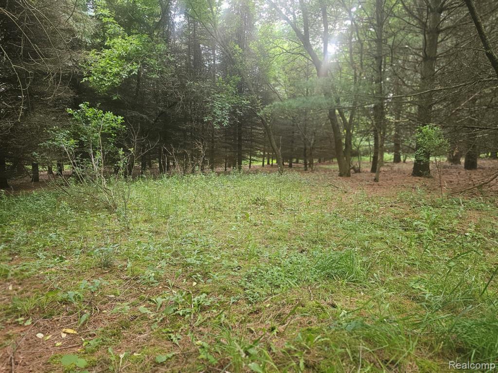 VL Millville Road, Lapeer, MI 48446 — Photo 12
