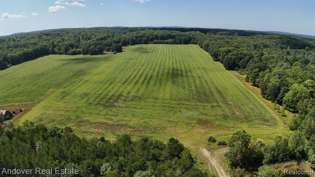 Leckrone Rd Parcel A, Brethren, MI 49619 — Photo 4