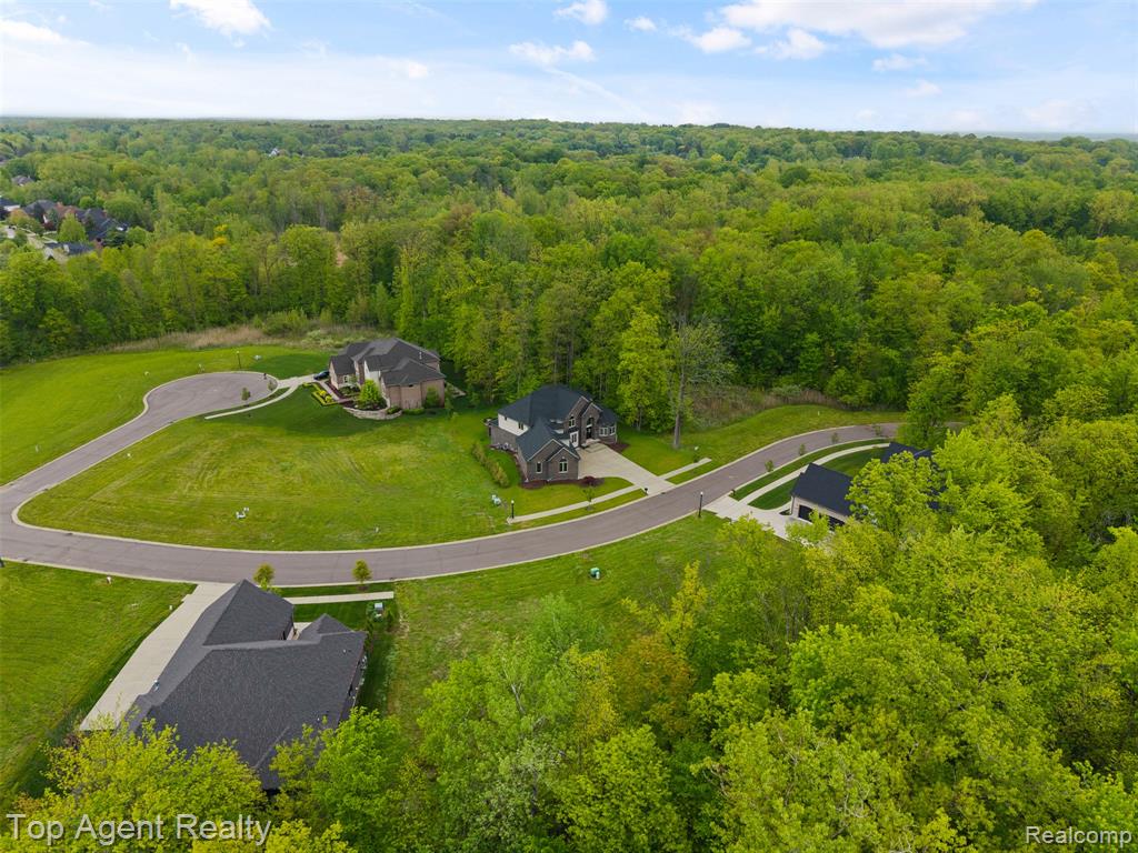 55764 Buckthorn Drive, Shelby Twp, MI 48316 — Photo 69