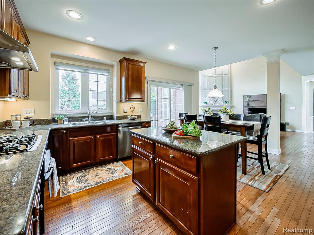 49133 Running Trout Lane, Northville, MI 48168 — Photo 20