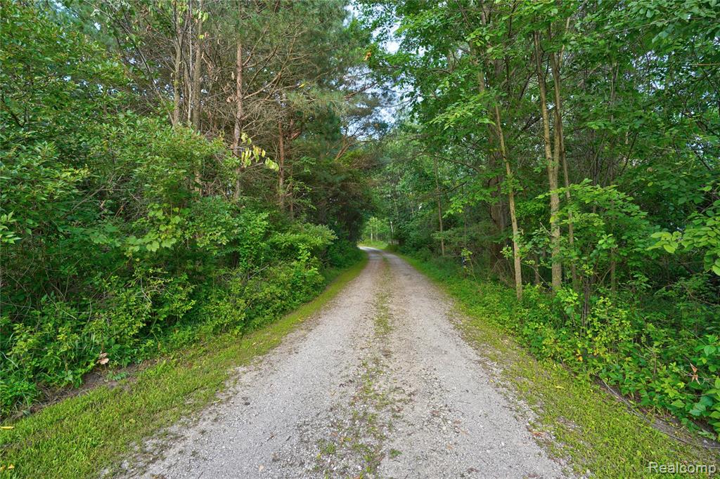 15055 Duffield Road, Byron, MI 48418 — Photo 48