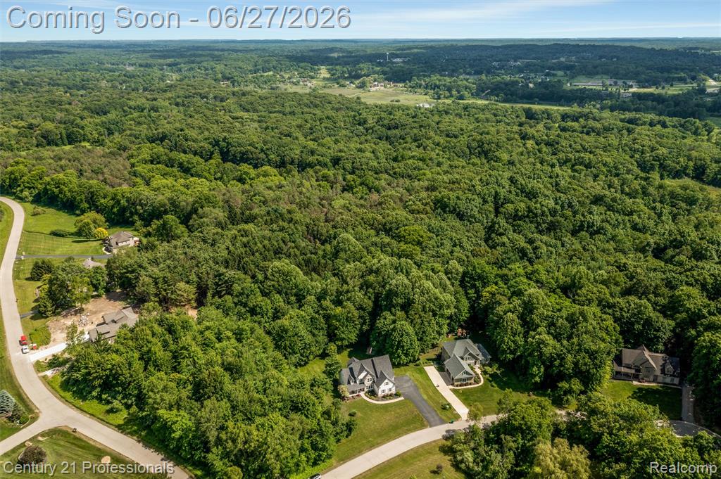 8928 Wild Iris Court, Davisburg, MI 48350 — Photo 46