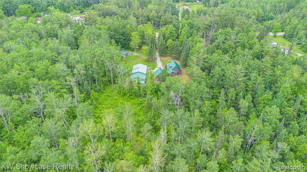 699 W Cherry Creek Road, Mio, MI 48647 — Photo 2