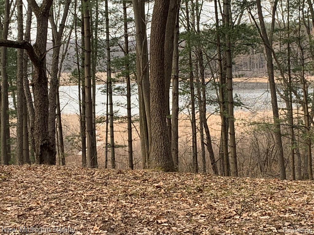 11461 WHITE LAKE Road, Fenton, MI, 48430