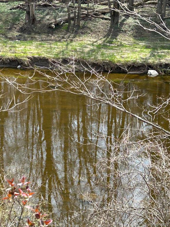 4215 JOSHUA Road, Cass City, MI 48726 — Photo 16