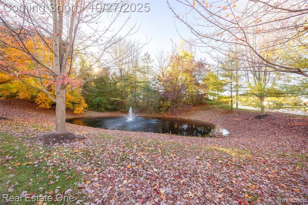 11426 Wolfort Spur, 41, Brighton, MI 48116 — Photo 10