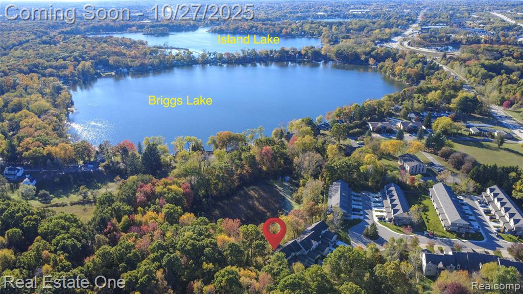 11426 Wolfort Spur, 41, Brighton, MI 48116 — Photo 47