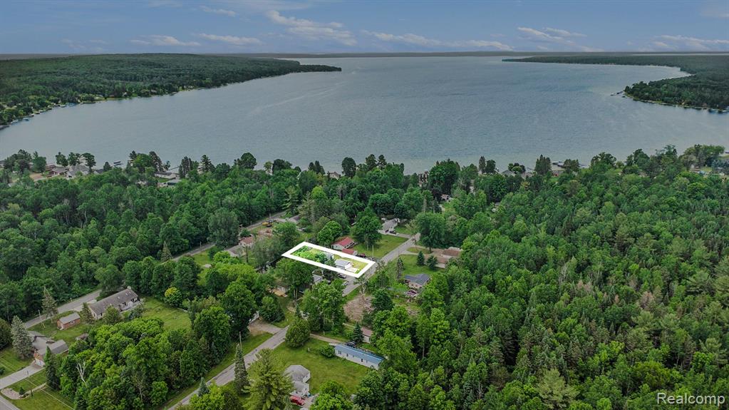 6954 LAKEVIEW Drive, Hubbard Lake, MI 49747 — Photo 3