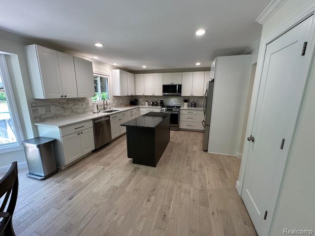 1727 Pero Lake Road, Lapeer, MI 48446 — Photo 9