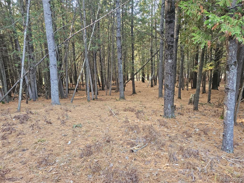 4901 M-55, Tawas City, MI 48763 — Photo 39