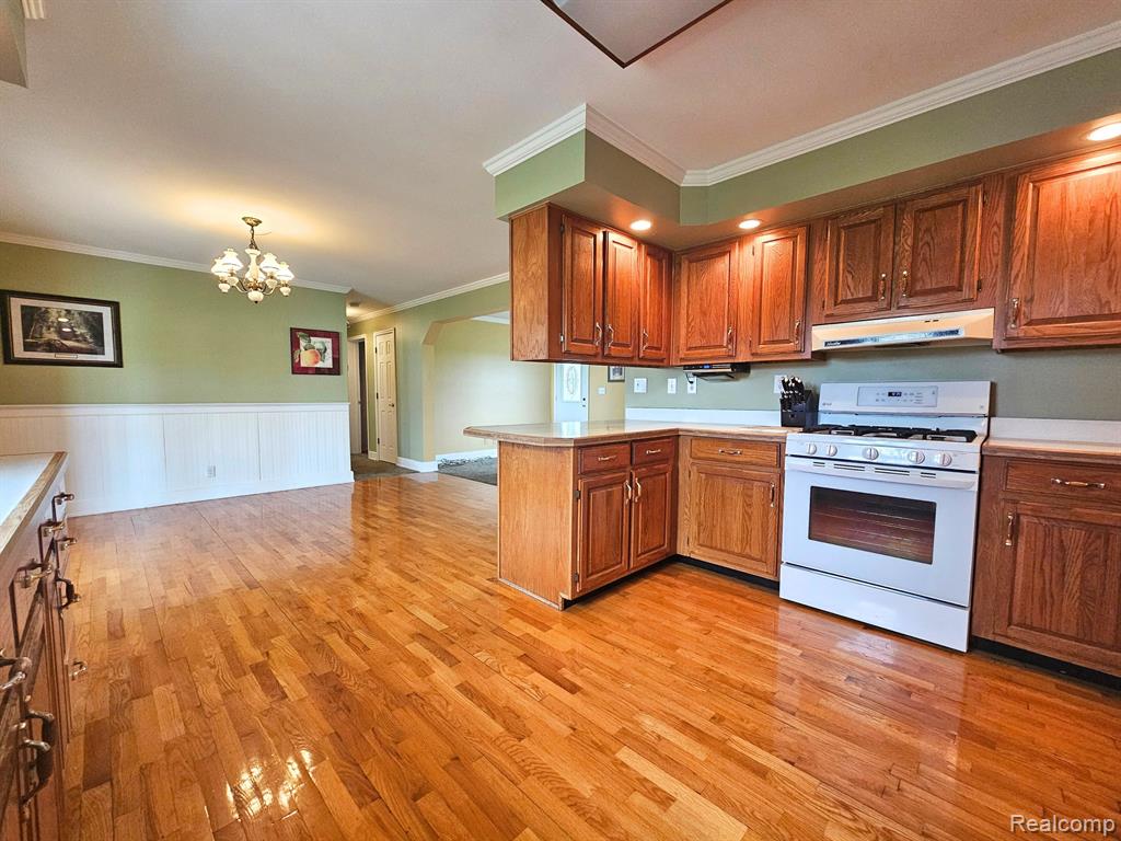 4246 FERDEN Road, New Lothrop, MI 48460 — Photo 13