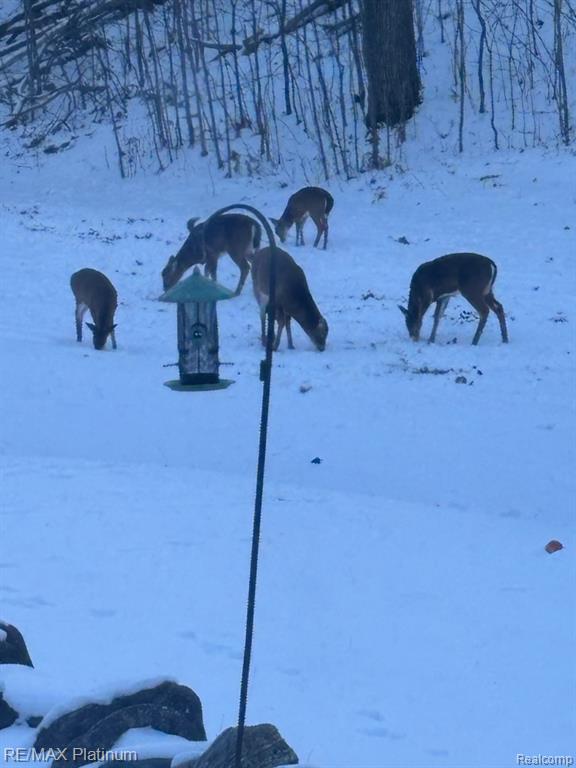 4125 Hubbard Lake Trail, Hubbard Lake, MI 49747 — Photo 19