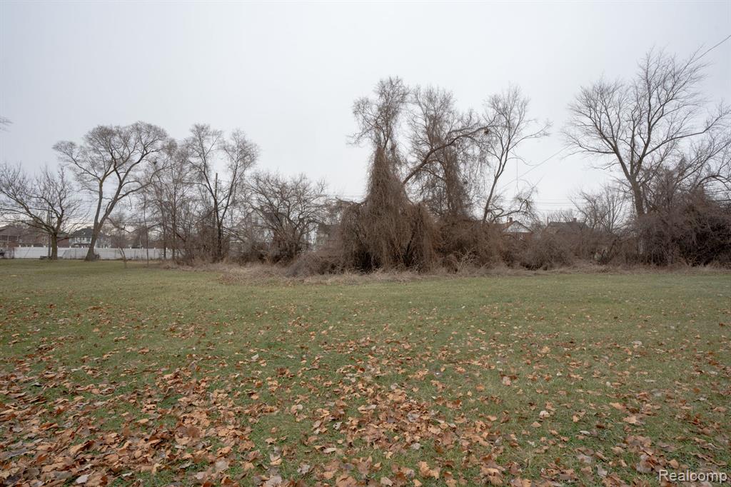 567 Smith Street, Detroit, MI 48202 — Photo 8