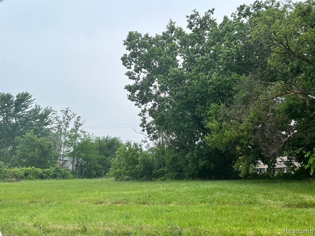 2430 ELMHURST Street, Detroit, MI 48206 — Photo 3