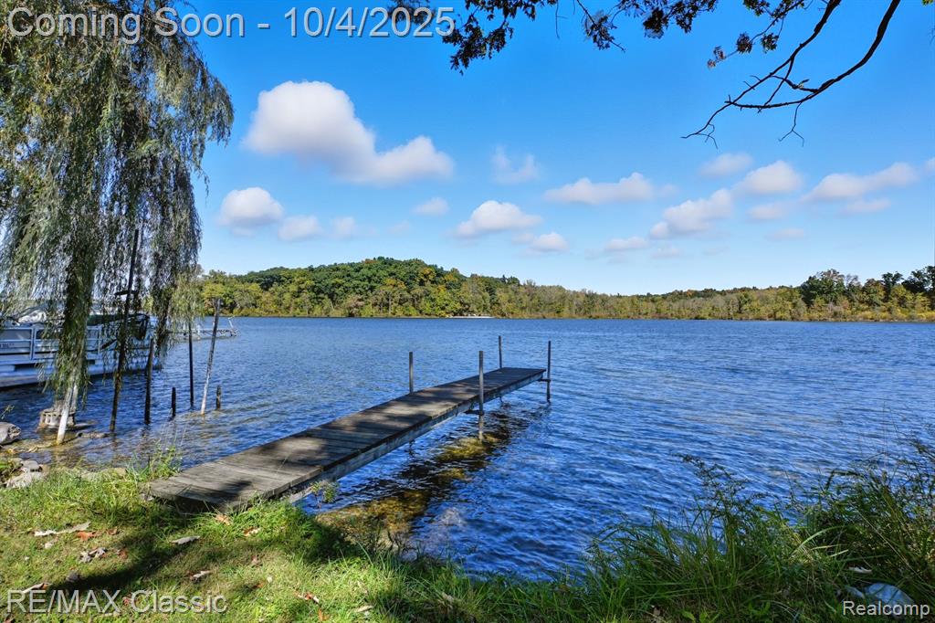 8791 Fairway Drive, Gregory, MI 48137 — Photo 30