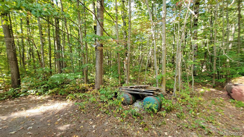 7528 OLD STUMP Road, Gaylord, MI 49735 — Photo 9