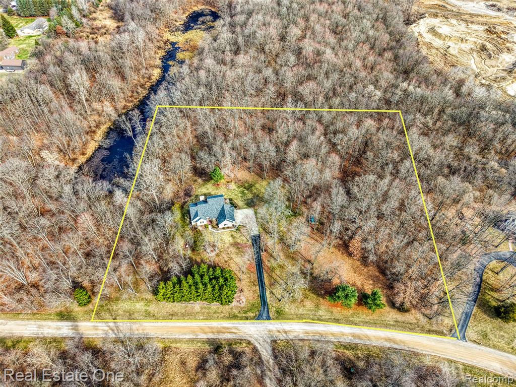 167 Forest Valley Court, Pinckney, MI 48169 — Photo 3