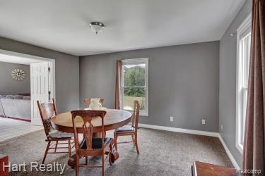 6198 EWALT Road, Imlay City, MI 48444 — Photo 18
