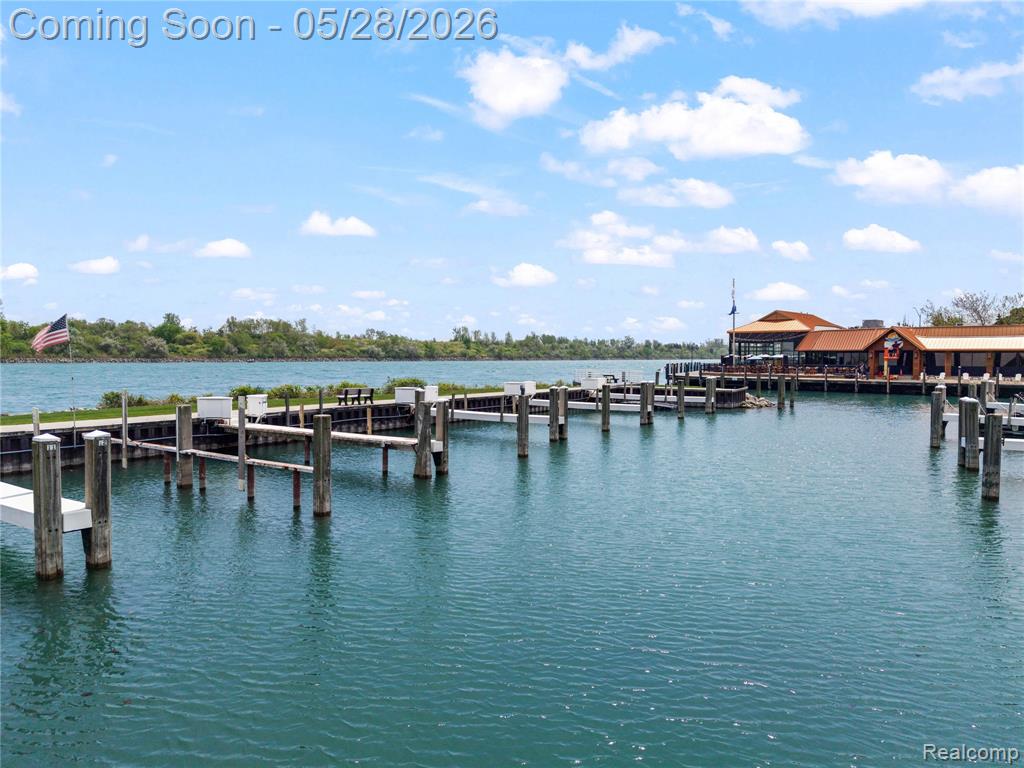 31 Kreger Drive, Wyandotte, MI 48192 — Photo 9