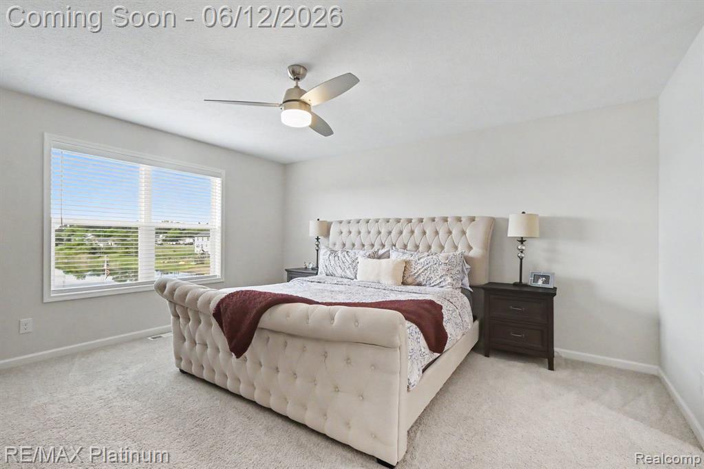 603 LAND BRIDGE, Perry, MI 48872 — Photo 19