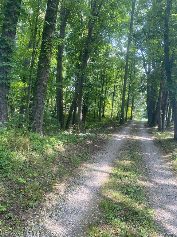 1215 S Bull Run Road, Fowlerville, MI 48836 — Photo 58