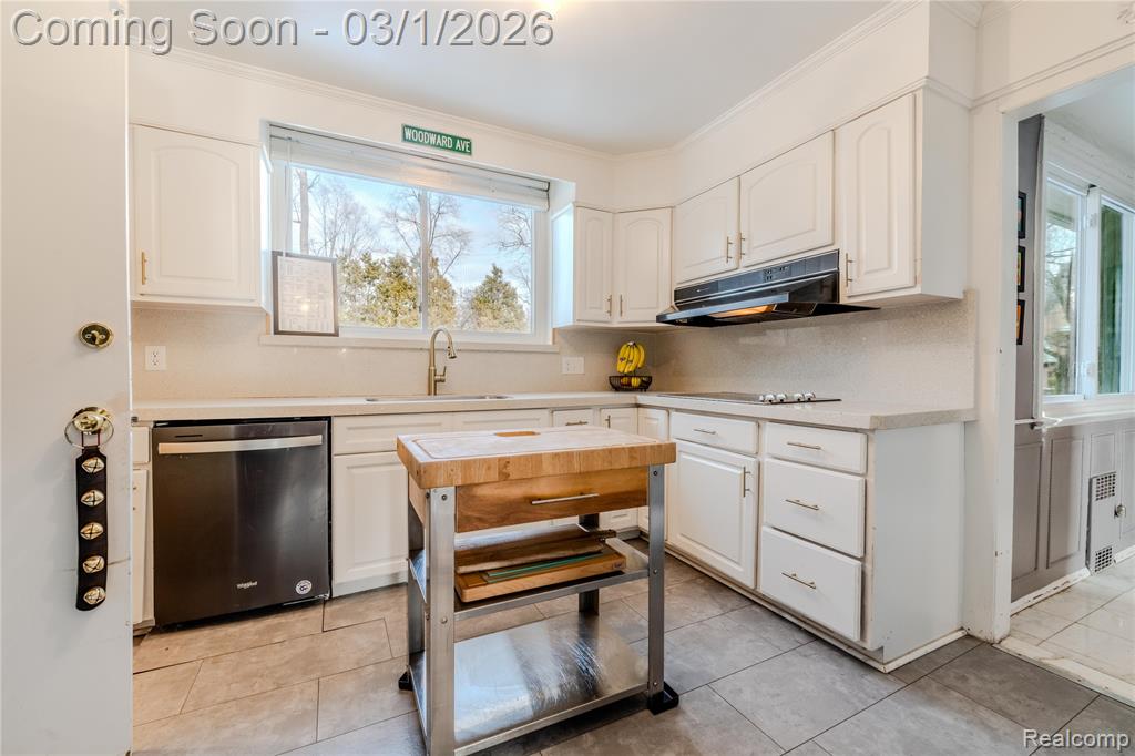 19480 Afton Road, Detroit, MI 48203 — Photo 41