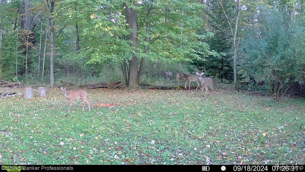 VL Rattle Run Road, St. Clair, MI 48079 — Photo 31