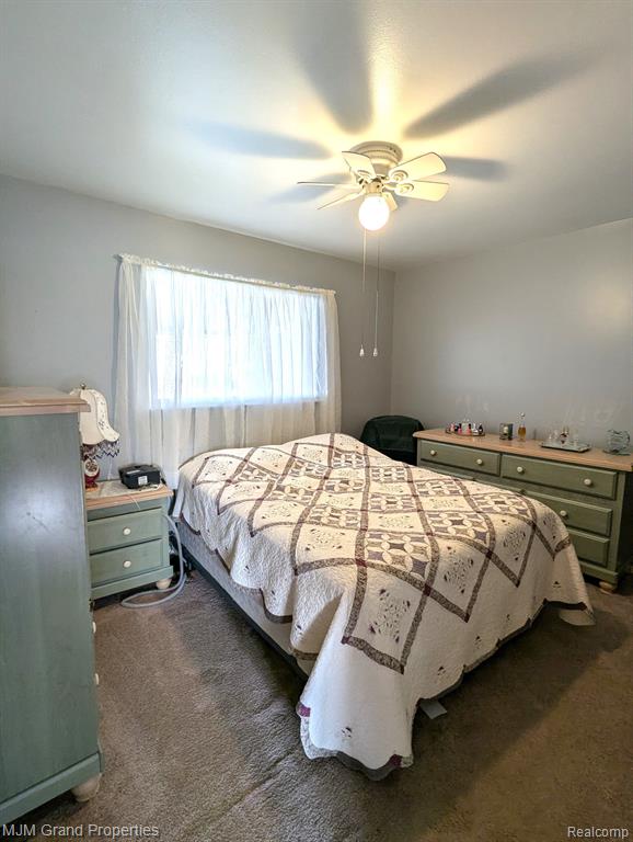 9264 CHAMBERLAIN Street, Romulus, MI 48174 — Photo 12