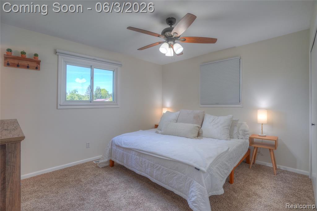 4323 Brayan Drive, Swartz Creek, MI 48473 — Photo 20
