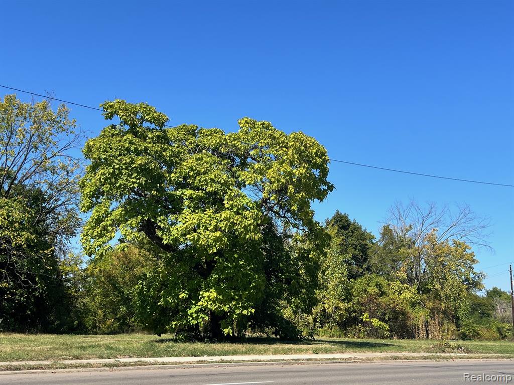2937 E Vernor Highway, Detroit, MI 48207 — Photo 3
