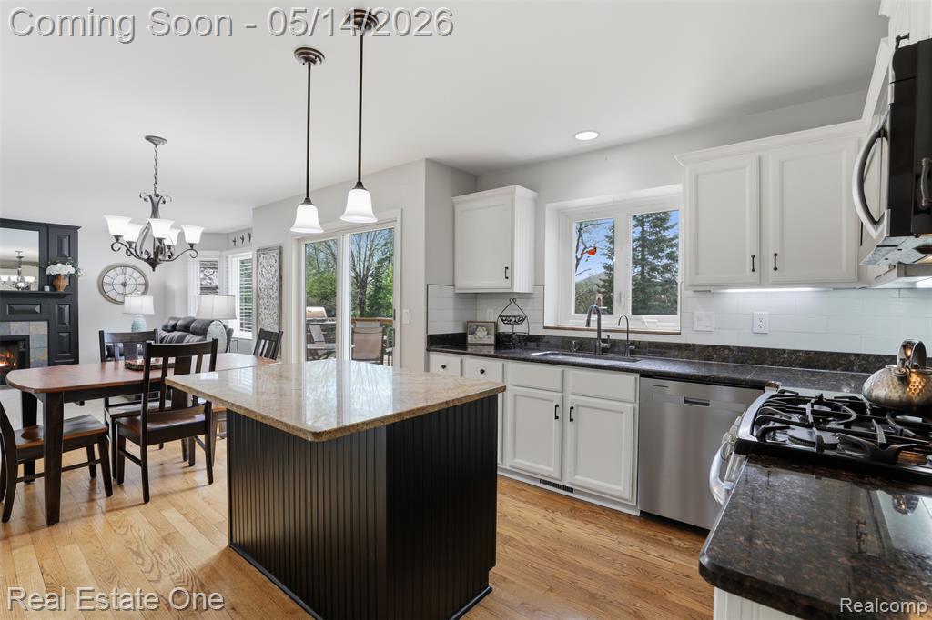 11163 Sand Crane Way, South Lyon, MI 48178 — Photo 17