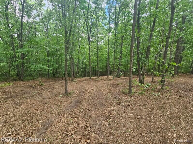4253 Link Drive, Brighton, MI 48114