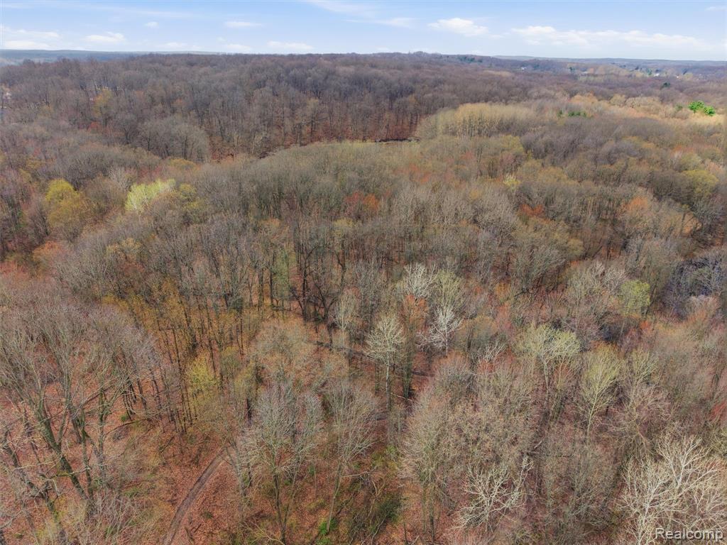 11810 Scenic Valley, Davisburg, MI 48350 — Photo 45